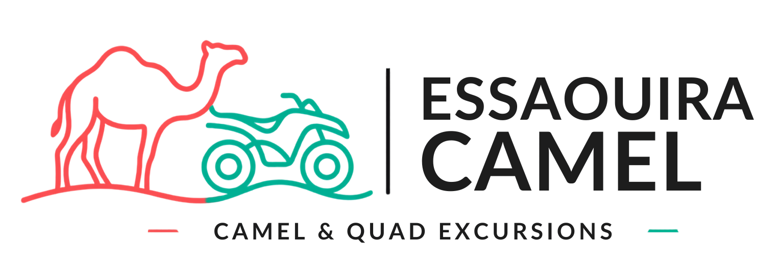 Essaouira Camel