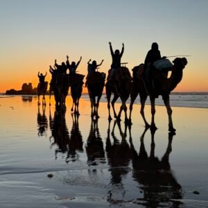 Sunset Adventure Camel – 3 Hours
