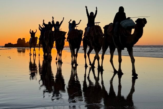 Sunset Adventure Camel – 3 Hours