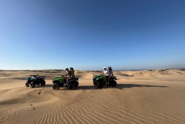 2H Quad and 2H Dromadaire