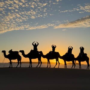 Bivouac Adventure Camel – Overnight Experience Sidi Kaouki