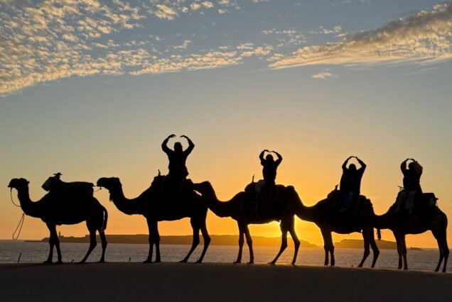 Bivouac Adventure Camel – Overnight Experience Sidi Kaouki
