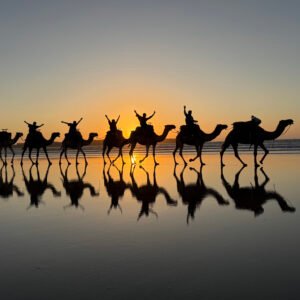 Full-Day Camel Escape with Lunch – 6 Hours