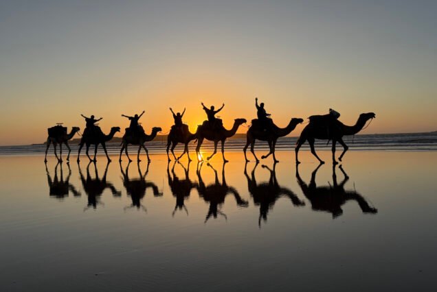 Full-Day Camel Escape with Lunch – 6 Hours